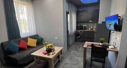 COMFORTABLE APARTMENT