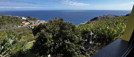 A coastal view from a balcony overlooking a garden with a stone pathway, a small pond, and a view of the sea and distant buildings.