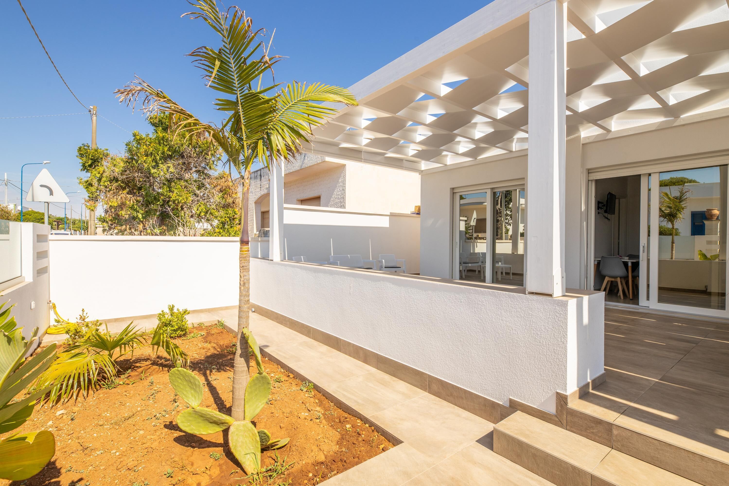 A modern outdoor patio with a white pergola, a small palm tree, and a cactus garden.