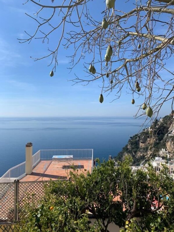 A terrace with a view of the sea, a balcony, and a tree with green leaves.