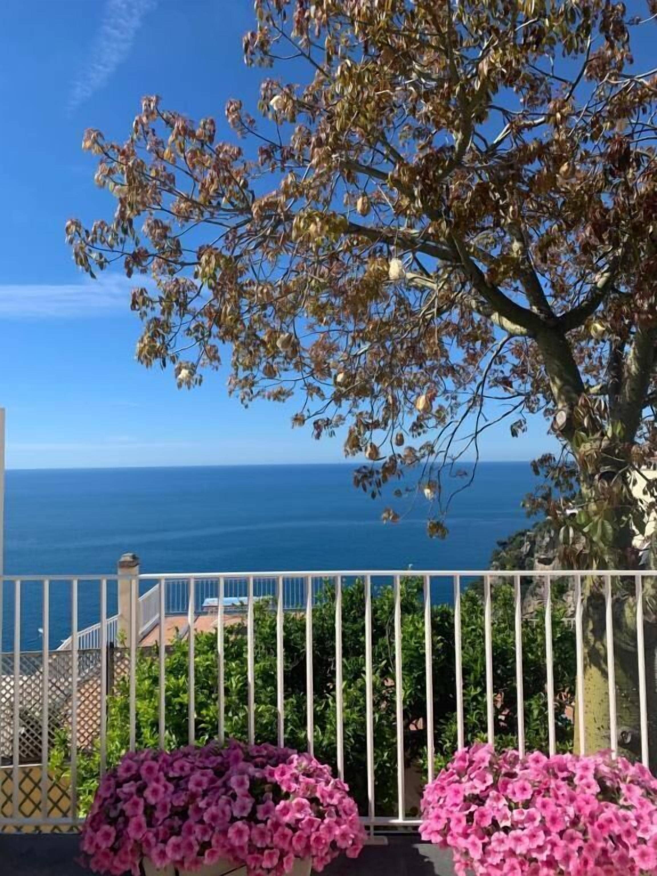 Un balcón con vista al océano, un árbol con hojas otoñales y flores rosadas.