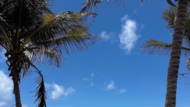 Área de estar à beira-mar com fileiras de cadeiras laranja e palmeiras, com vista para o mar azul cristalino.