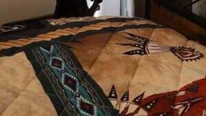 A bed with a patterned bedspread, a lamp on a bedside table, and a window with curtains. - Cozy Native American Village! 
HOT TUB! 
PET FRIENDLY!
Fenced-in yards! (Rifle)