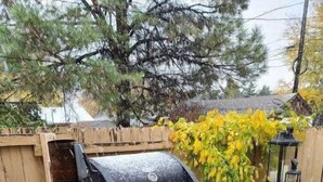 A barbecue grill on a wooden deck with a blue trash bin and a table with chairs. - Cozy Native American Village! 
HOT TUB! 
PET FRIENDLY!
Fenced-in yards! (Rifle)