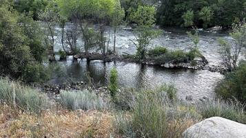 Um rio com vegetação e pedras nas proximidades.