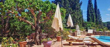 Áreas de la propiedad