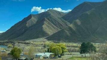 1 多间卧室、熨斗/熨衣板、旅行婴儿床、免费 WiFi