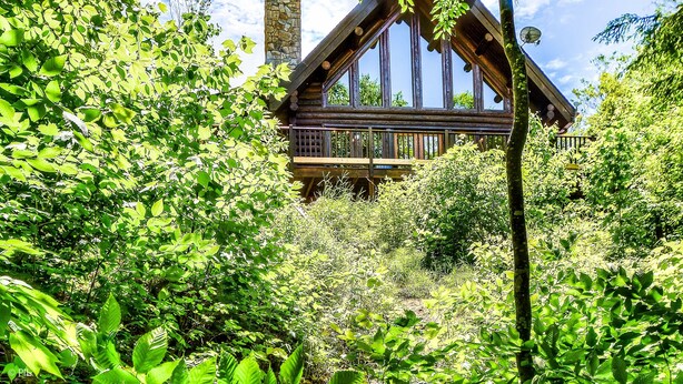 Une cabane dotée d’une cheminée en pierre, entourée d’une végétation luxuriante.