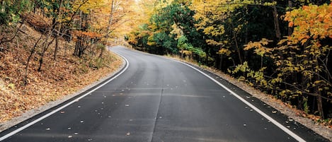 A road flanked by trees with autumn foliage.