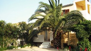 Una casa con vialetto sterrato, palme e un piccolo giardino con fiori rossi.
