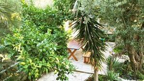 Un giardino con un sentiero in pietra, diverse piante, un tavolo in legno e una sedia.