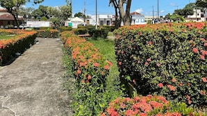 A paved pathway flanked by vibrant red flowers and green hedges, leading to a building with a white facade and a blue roof. - Hotel Suelen (Itacoatiara)