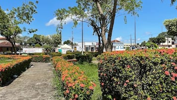 Land view from property