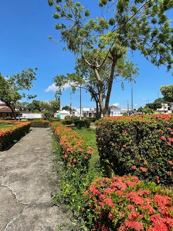 Land view from property