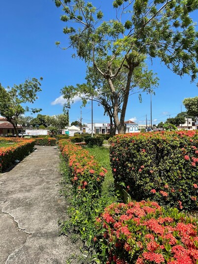 Hotel Suelen