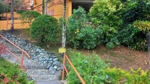 A pathway leading to a building with a yellow facade, surrounded by lush greenery and a stone wall. - Castara Bliss Apartments B (Tobago)