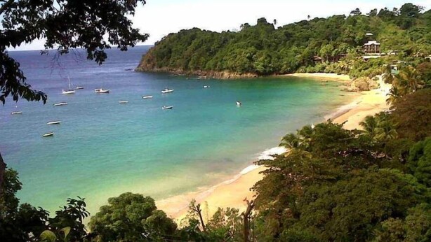 A coastal landscape with a sandy beach, clear turquoise waters, and lush greenery. - Castara Bliss Apartments B (Tobago)