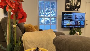 A living room with a sofa, a yellow bowl of salad, a red orchid plant, and a TV displaying a show. - THE UPTOWN BUNGALOW-COVERED PARKING-Walkable Historic Neighborhood-PET FRIENDLY! (Dallas)