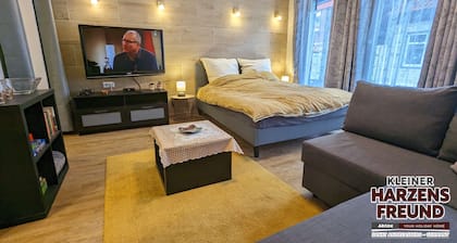 Arode Ferienhaus Harzensfreund, in the Center of Mountainresort St. Andreasberg