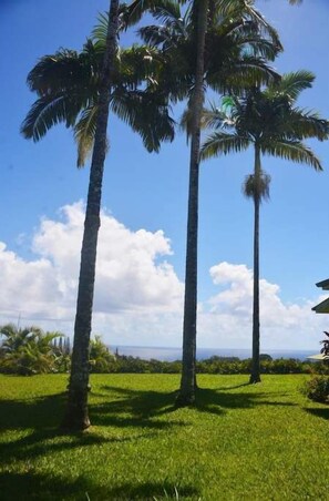 Property grounds - Sugar Mill Ranch House with Amazing Ocean Views (Pepeekeo)