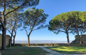 Property grounds - Awesome home in Castiglion Fiorentino (Castiglion Fiorentino)