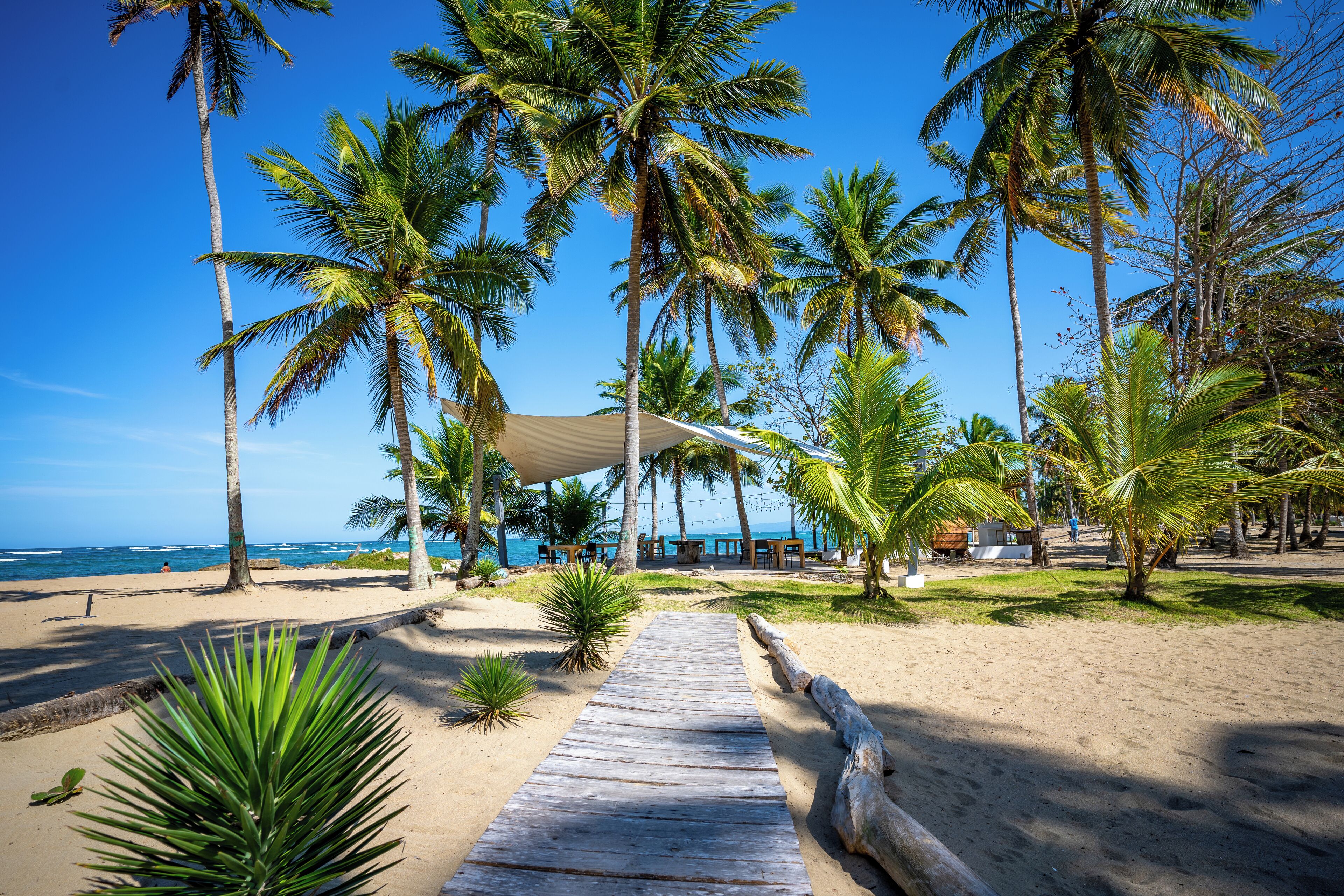 Plage, chaises longues, parasols, serviettes de plage