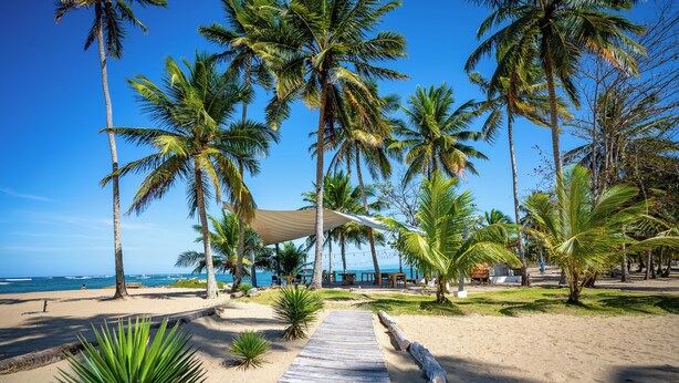 Ein hölzerner Weg führt zu einem Strandabschnitt mit Palmen und blauem Himmel.