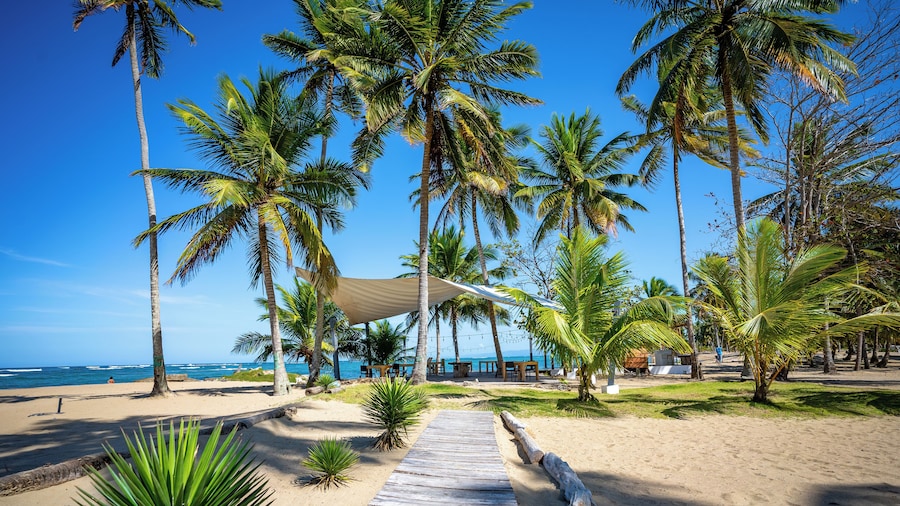 The Palm Bay Club Lodge