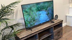 A television on a wooden stand with a remote control, a small sign, and a plant beside it.