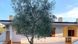 Una casa moderna con un gran árbol en el jardín delantero, un camino de ladrillos y fachada blanca.