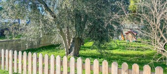 5 bedroom pet friendly home in Vieste