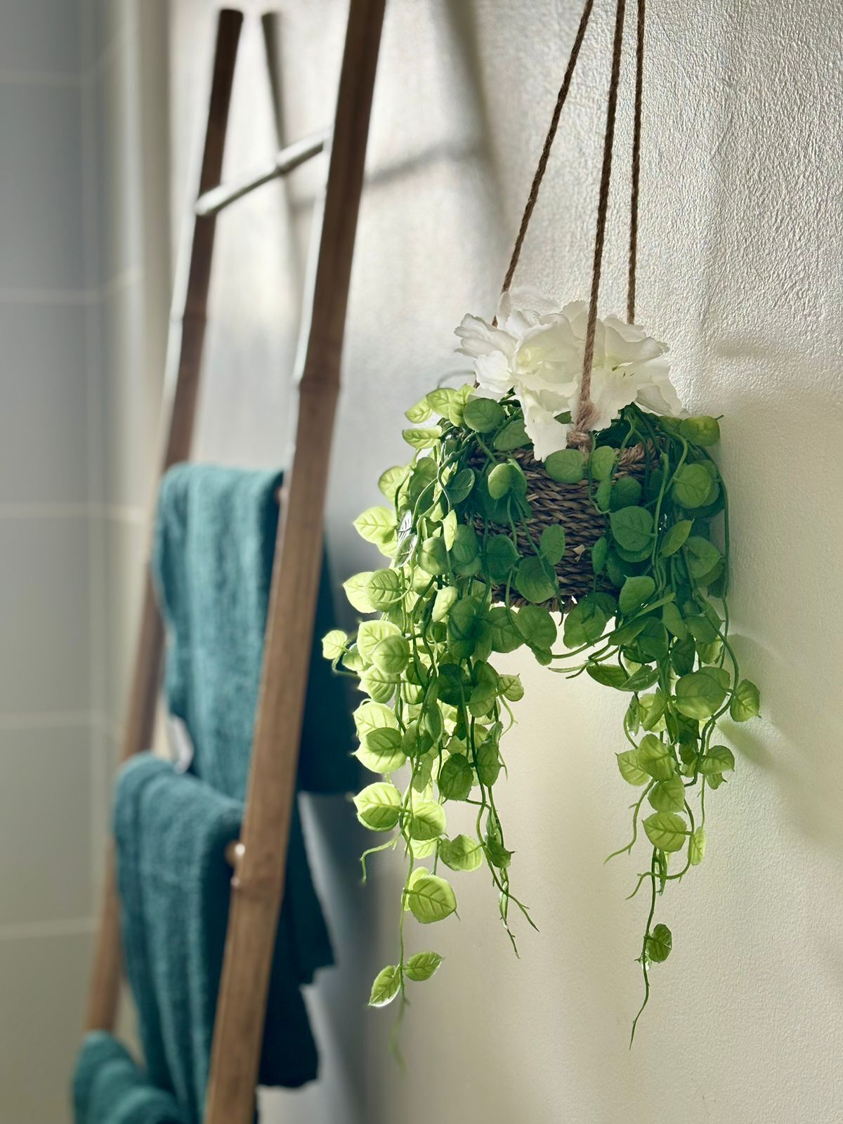 Une plante suspendue aux feuilles vertes et aux fleurs blanches, placée devant un mur blanc.