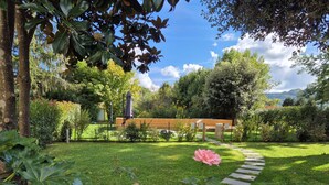 Un giardino curato con un vialetto in pietra, verde rigoglioso e una panchina.