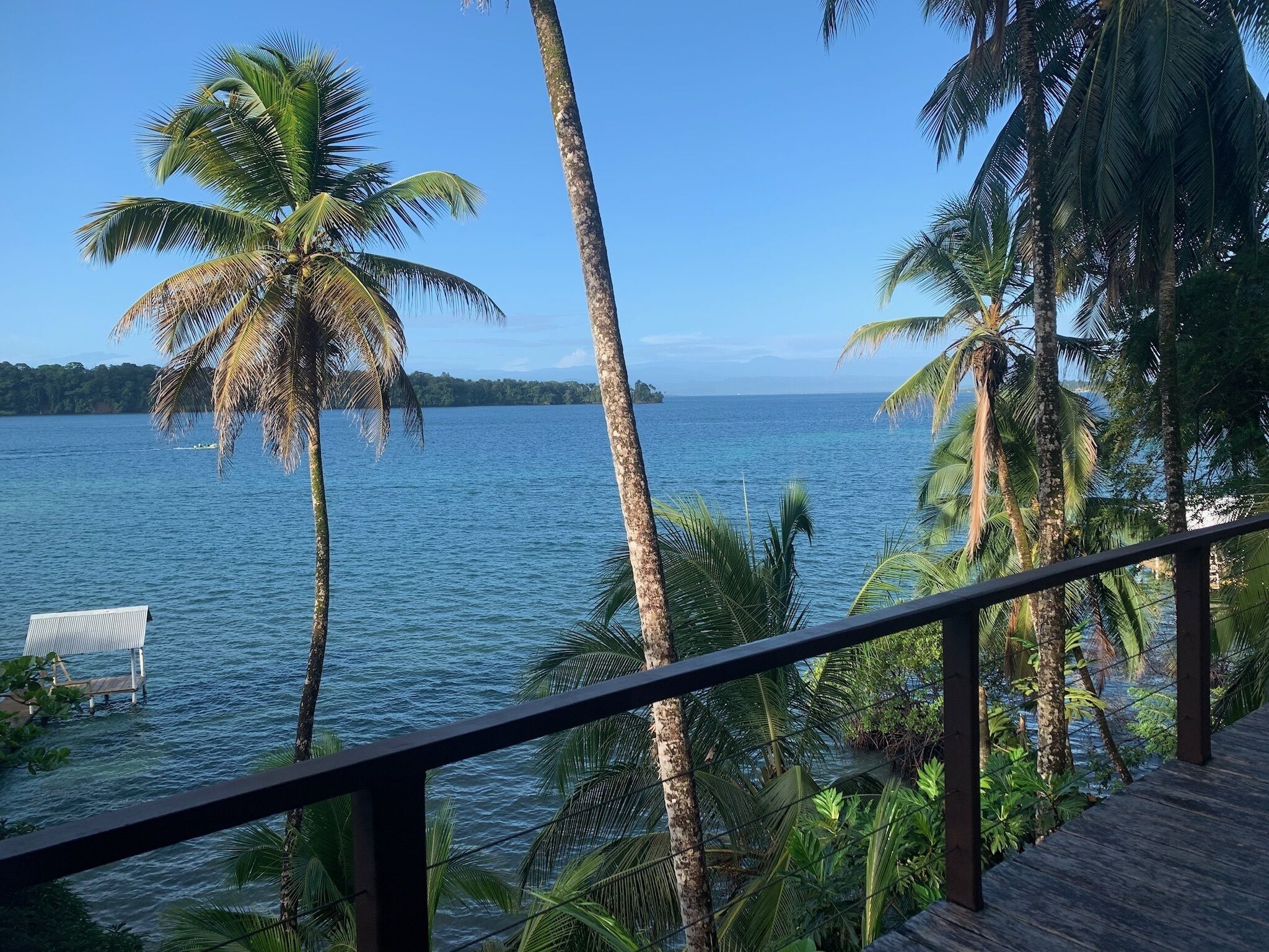 Sea view 