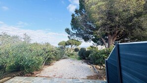 Ein gepflasterter Weg führt zu einem dunkelblauen Tor, umgeben von üppigem Grün und Bäumen.
