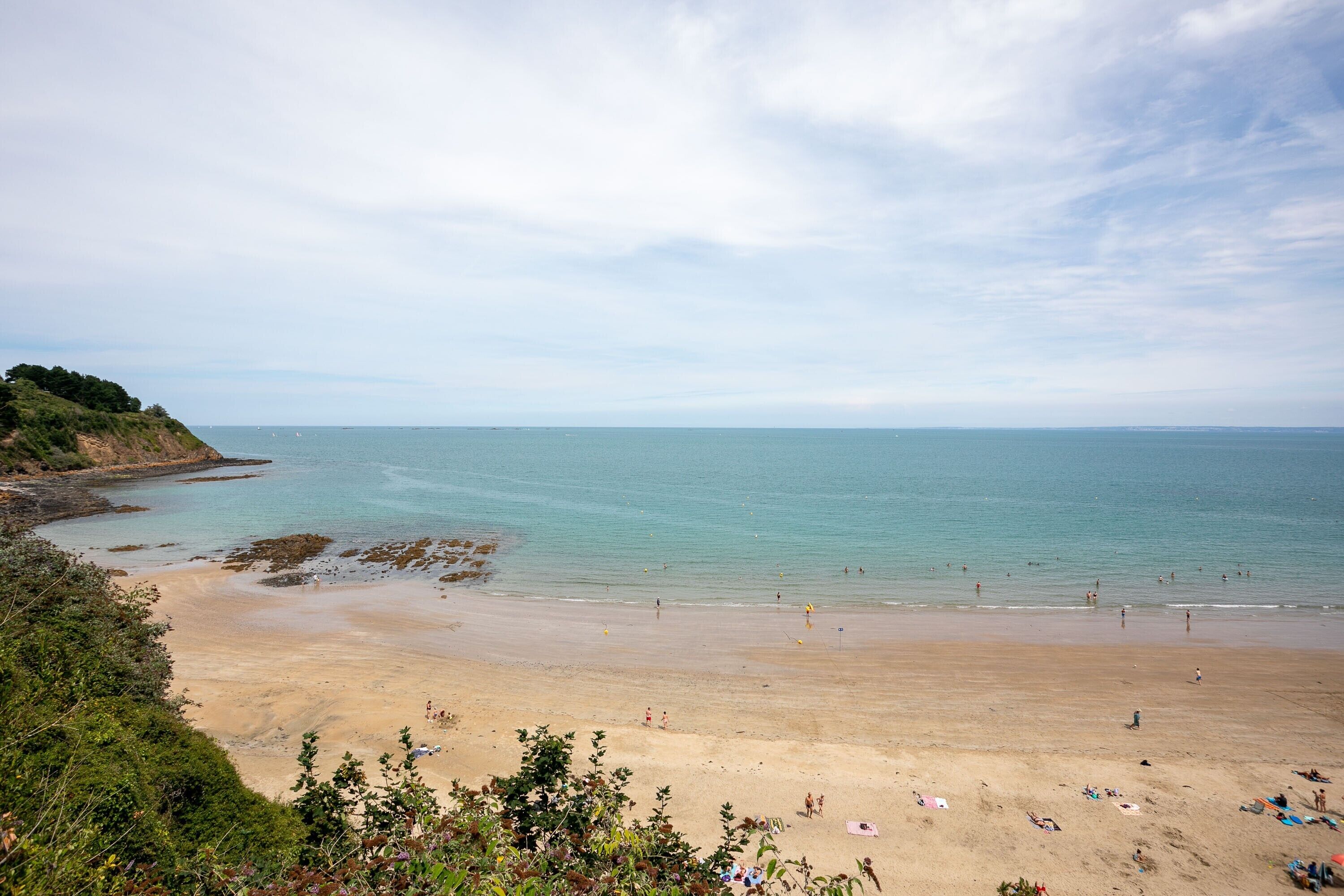 A beach with clear water, sandy shore, and some greenery.