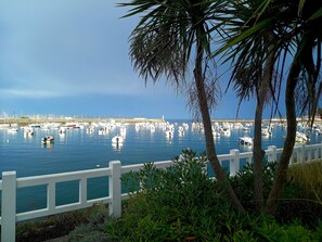Marina/club náutico