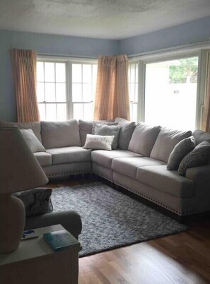 TV, DVD player, books, video library