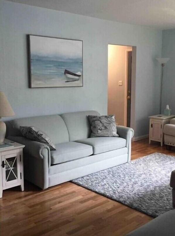 TV, DVD player, books, video library