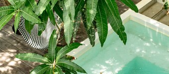 Mangomiel is a boho-chic property in the heart of El Paredon 