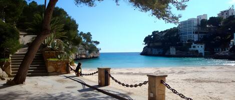 Plage à proximité
