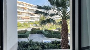 Vista desde una ventana de un edificio con una palmera y un jardín cuidado.