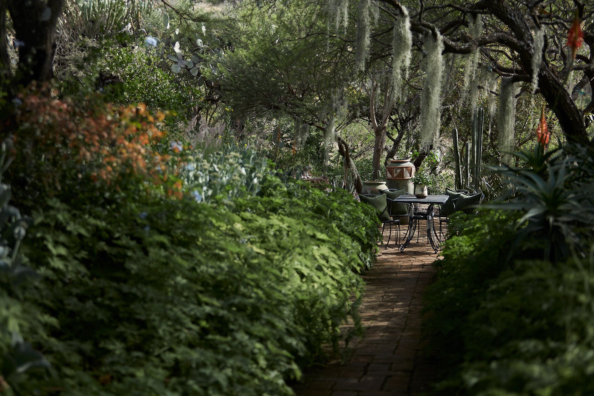 Un sentier mène à un ensemble de table et de chaises installé dans un jardin luxuriant, caractérisé par un feuillage dense et de nombreux arbres.