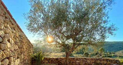 Quinta das Amendoeiras Situada na Aldeia HistĂłrica de Marialva, a 7 Km da MĂȘda