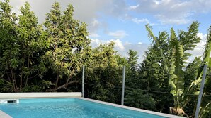 Ein rechteckiger Swimmingpool mit einer gefliesten Kante, umgeben von einer Holzterrasse.