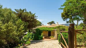 A stone pathway leading to a rustic building with a tiled roof, surrounded by lush greenery and trees.