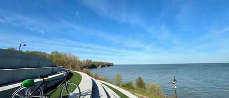 Vista desde la propiedad