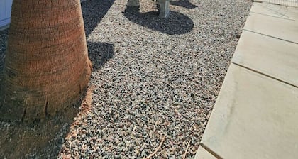 Havasu Lake Front Palm Retreat