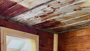 A room with a bed, a window with curtains, and a view of a building outside. - Nauti Hookers, deep water access in Steinhatchee with a boat slip, cold AC, WiFi (Steinhatchee)