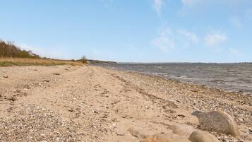 Playa en los alrededores y pesca